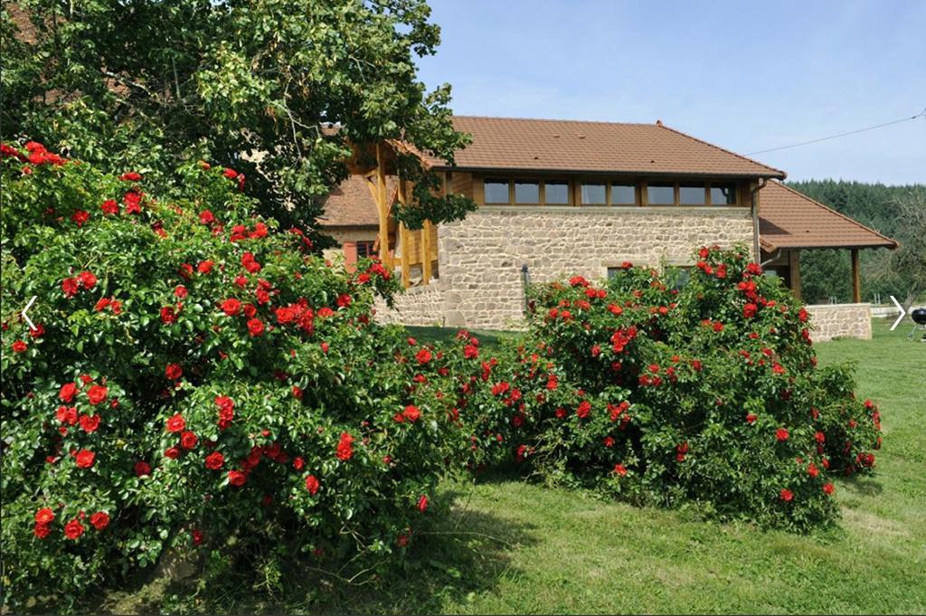 Вилла Les Perruchons Ancienne Grange Renovee Avec Soin Ozolles Номер фото