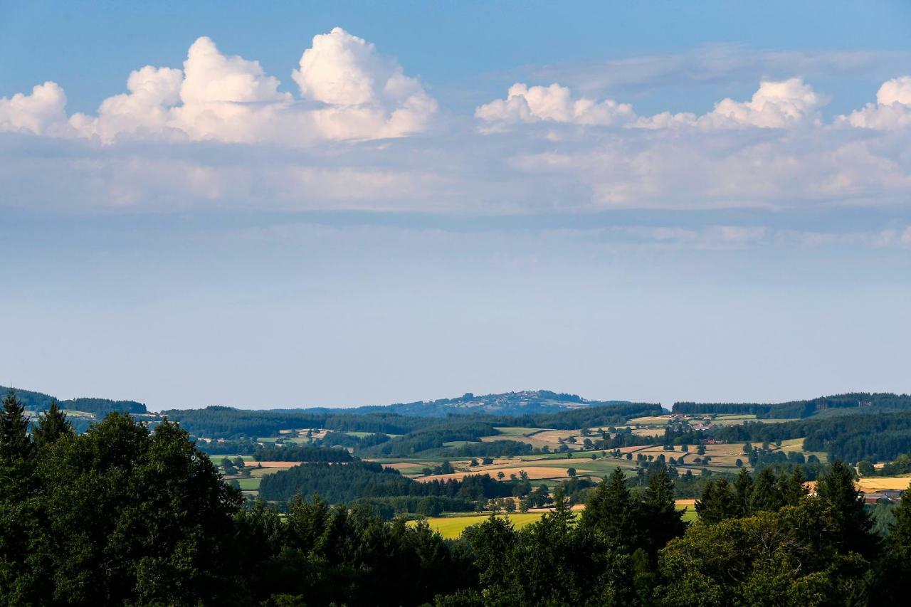 Вилла Les Perruchons Ancienne Grange Renovee Avec Soin Ozolles Экстерьер фото