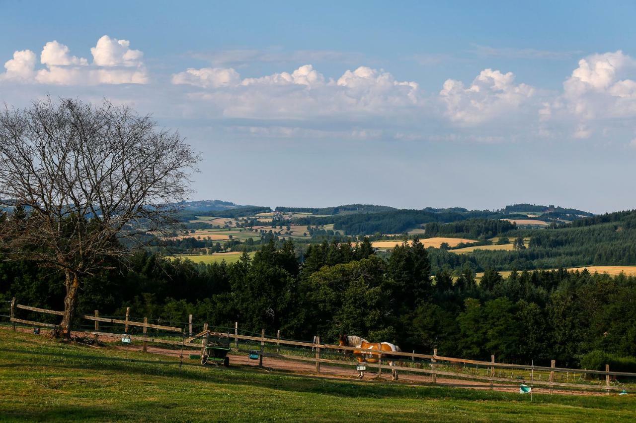 Вилла Les Perruchons Ancienne Grange Renovee Avec Soin Ozolles Экстерьер фото
