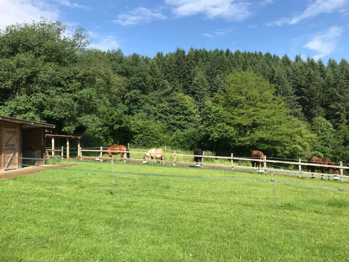Вилла Les Perruchons Ancienne Grange Renovee Avec Soin Ozolles Экстерьер фото